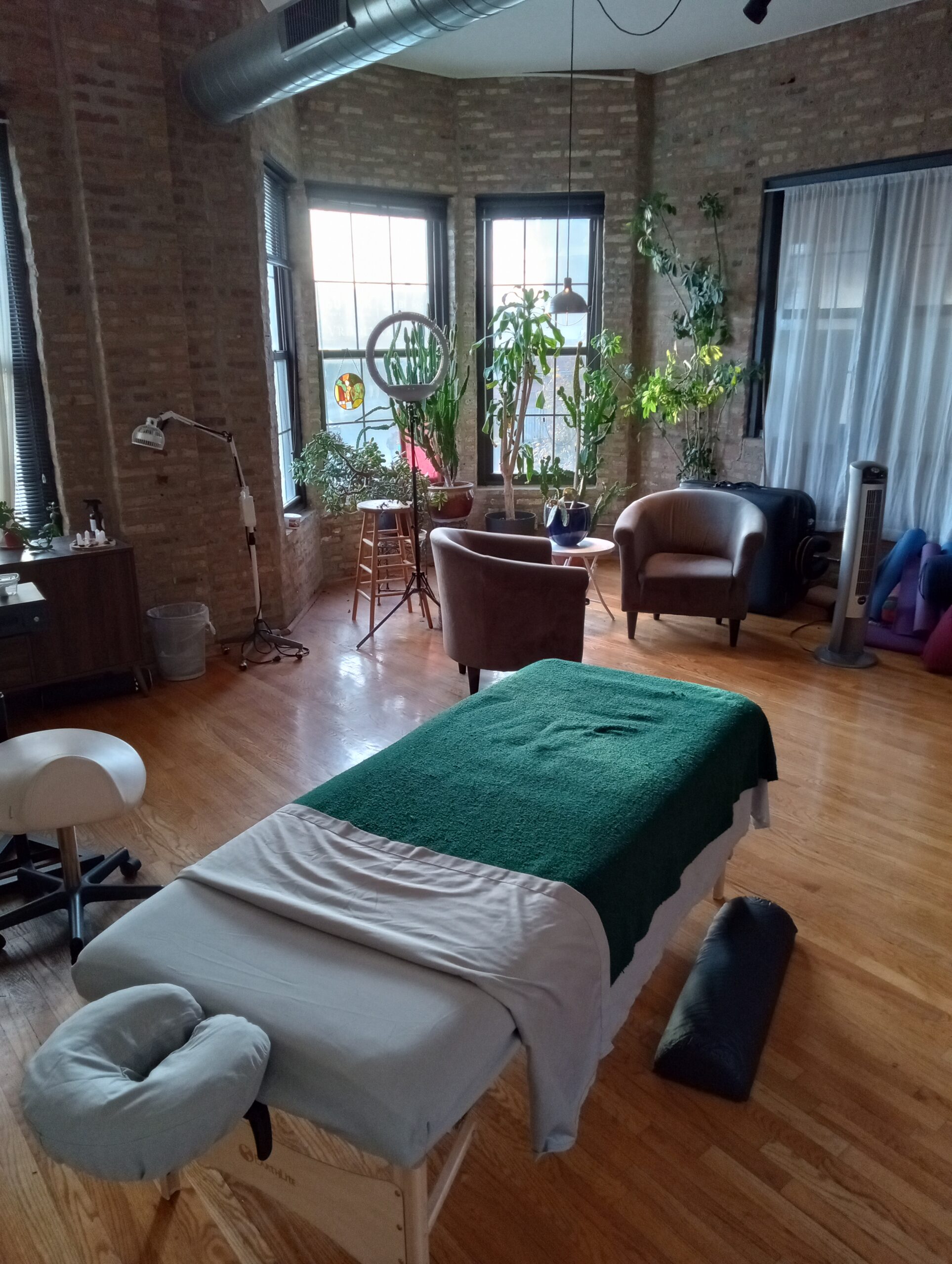 Body Euphoria Massage Therapy's Studio in Logan Square with Plants and Good Sunlight for a Chill Nice Massage